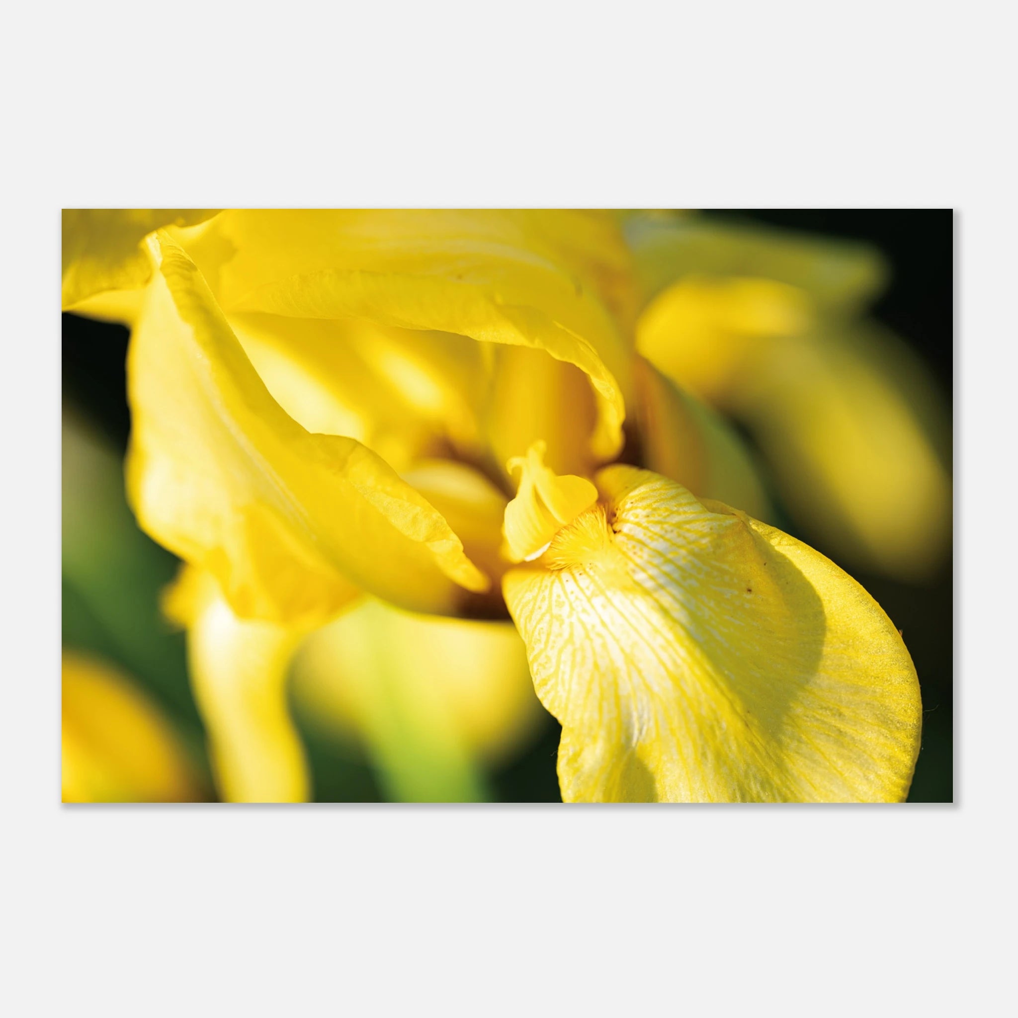 8f72aef4-a6e9-48cb-af5f-3bda1fb41f65