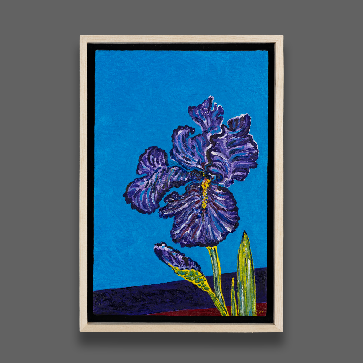 Electric Irises Z4