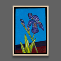 Electric Irises Z6