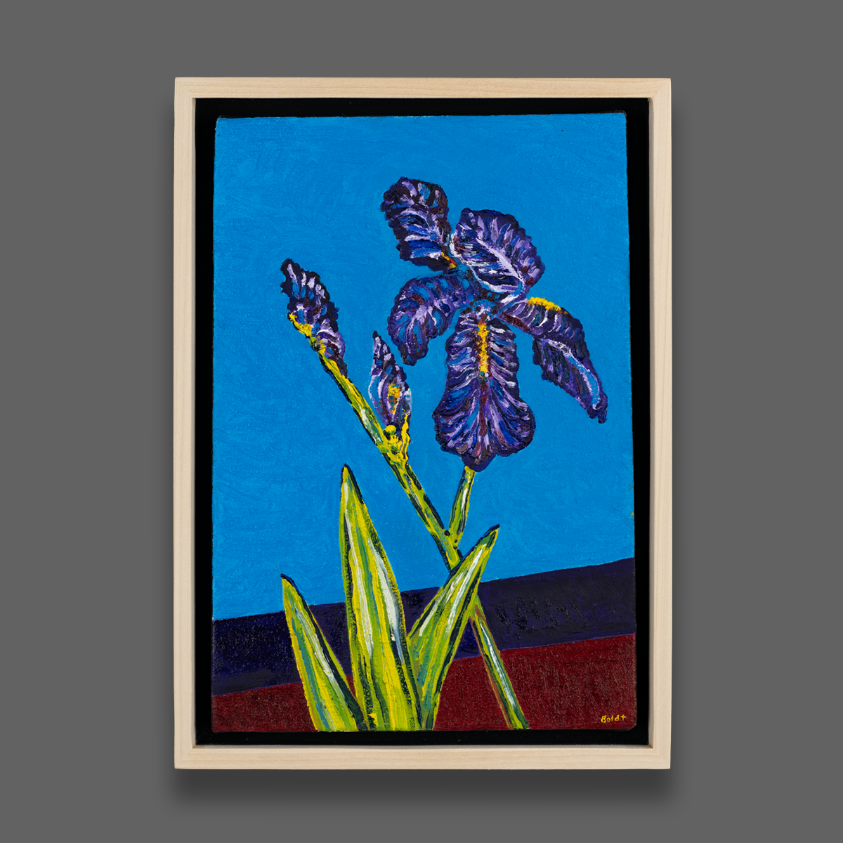 Electric Irises Z6