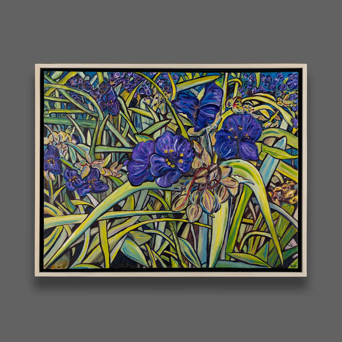 Electric Spiderwort Z1