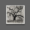 Live Oak II