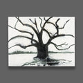 Live Oak III