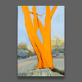 Nashotah Red Oak