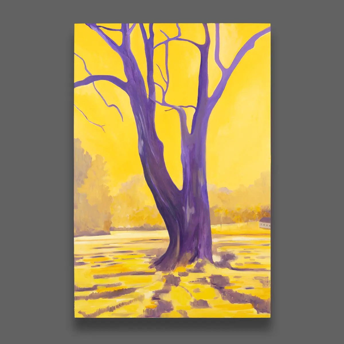 Sunshine Red Oak